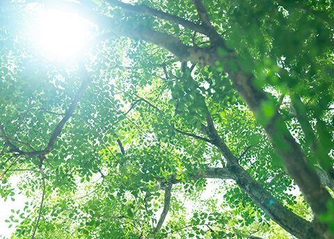 画像:カーボンニュートラルソリューション(ビル・マンション)